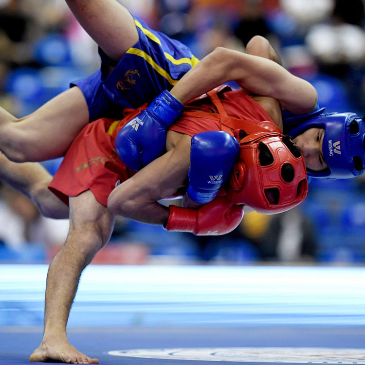 دو مرد جوان در حال رقابت ورزش ووشو